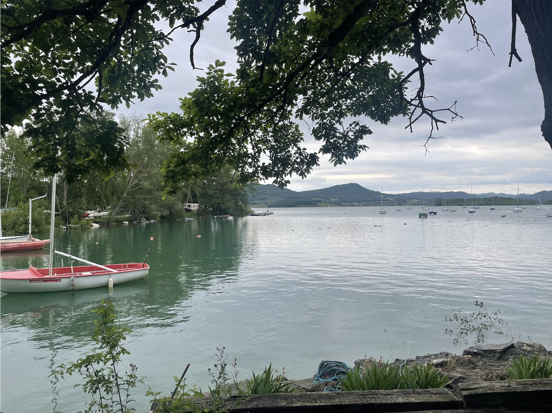 Lac de Montbel