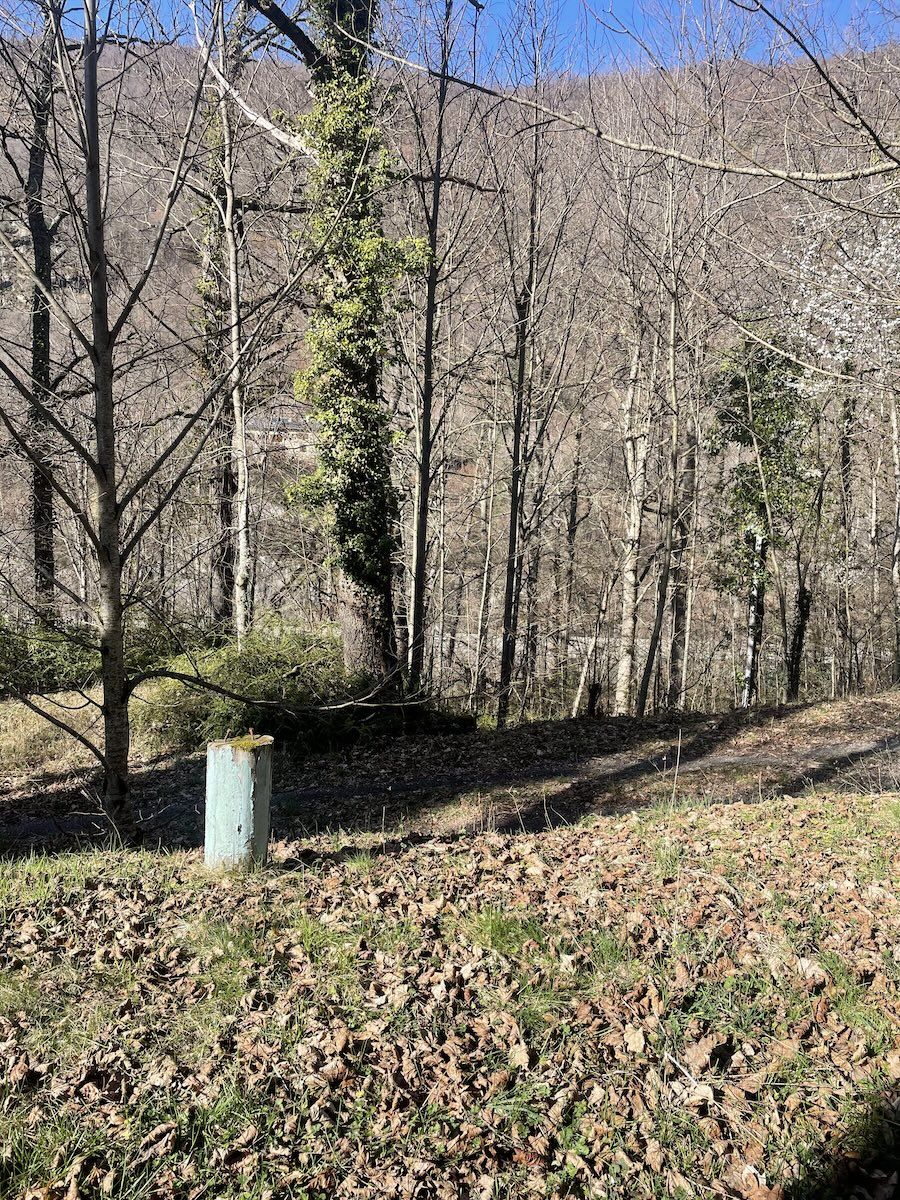 Terrain